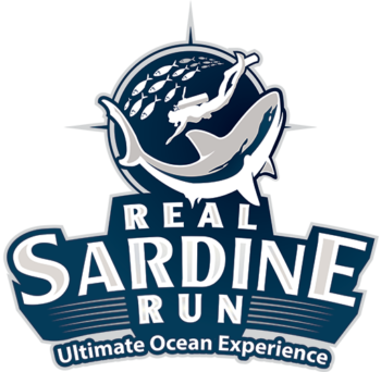 The Real Sardine Run